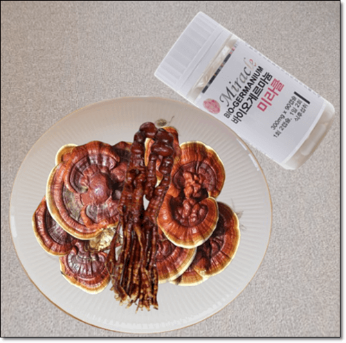 게르마늄 풍부한 영지 버섯과 보충제