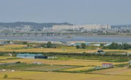 홍도 배편 예약 방법