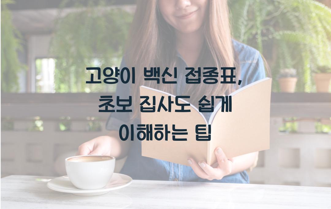 고양이 백신 접종표, 초보 집사도 한눈에 OK