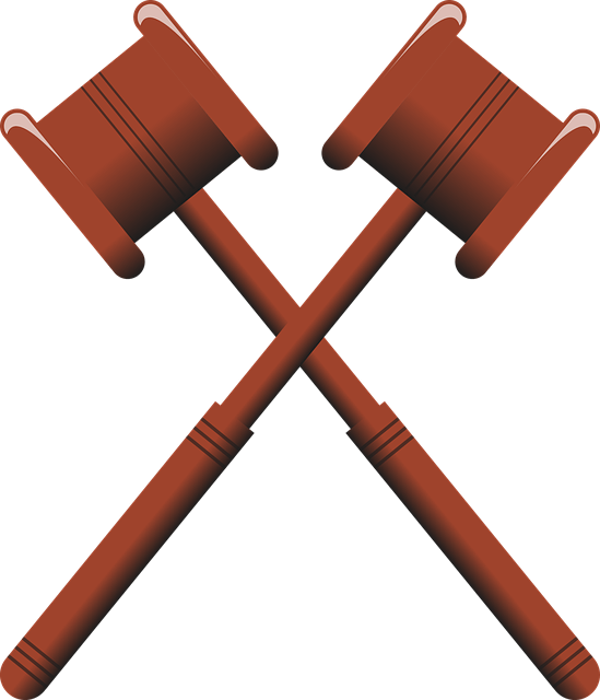 재판 결과 및 일정