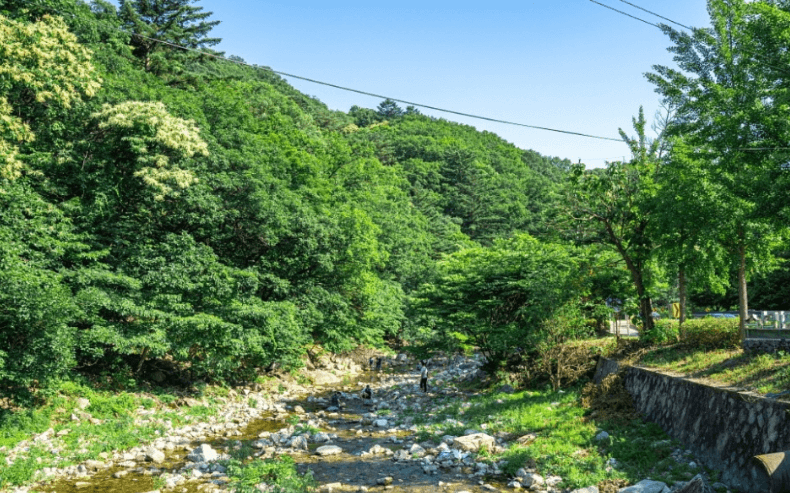 양주 송추계곡