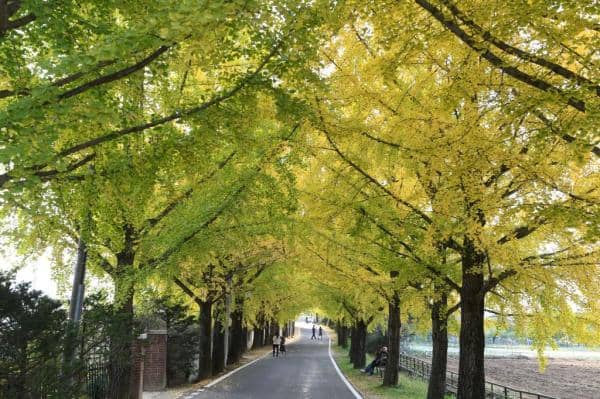 거창-의동마을-거리