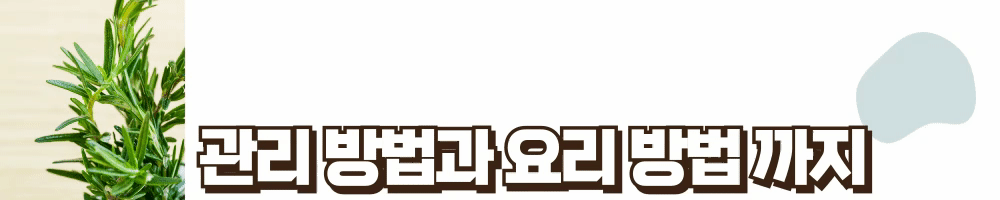 제목을-입력해주세요_ (6).gif
