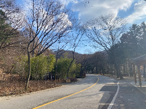 서울대공원 동물원