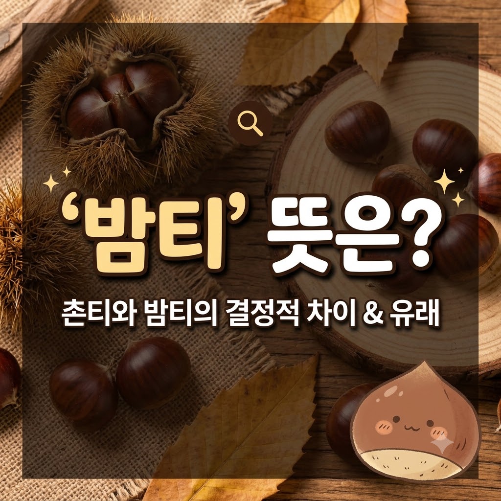 밤티 뜻