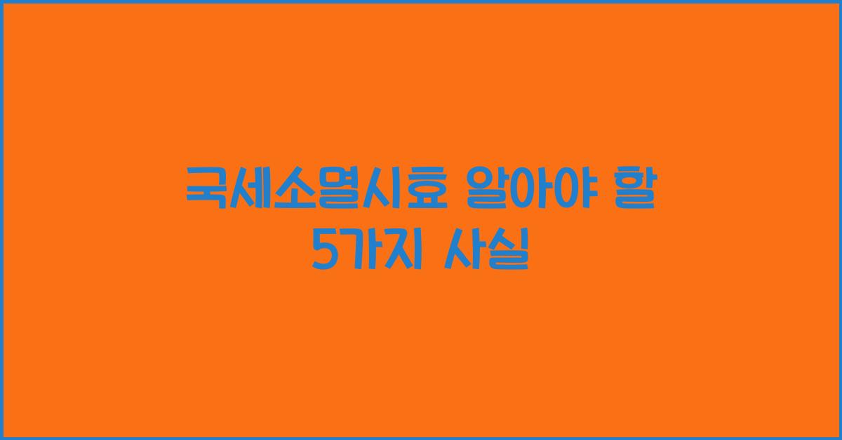 국세소멸시효