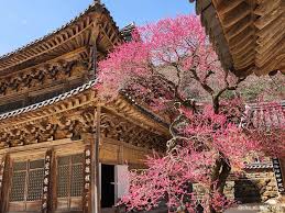 3월 국내 축제 일정