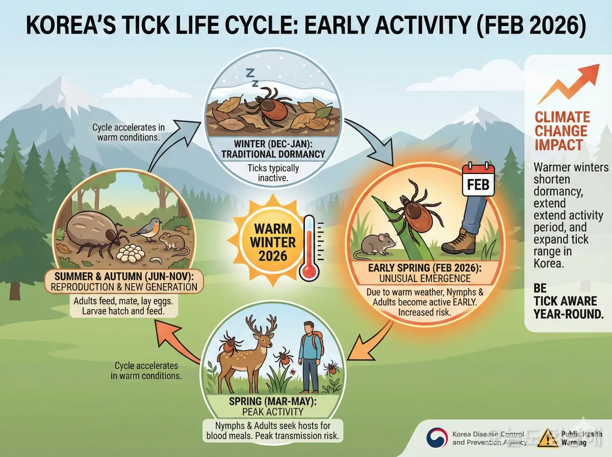 2026년 따뜻한 겨울로 인해 빨라진 진드기 활동 시기를 보여주는 인포그래픽