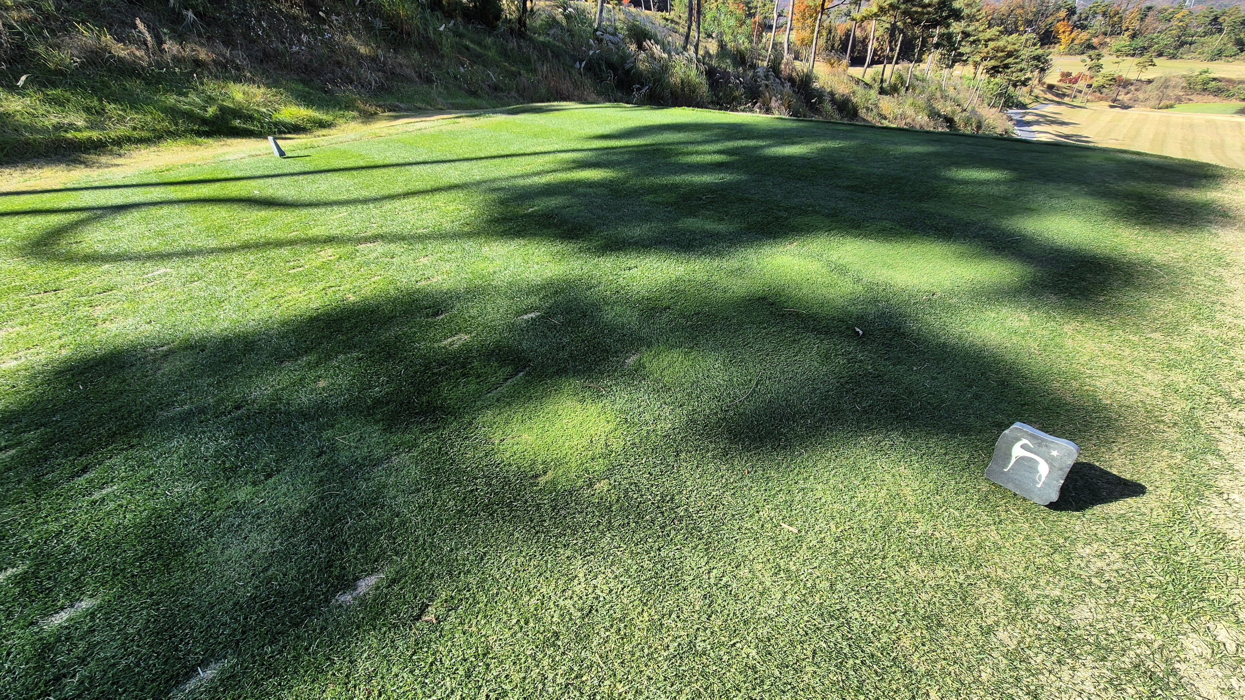 레이캐슬cc 티잉구역 상태