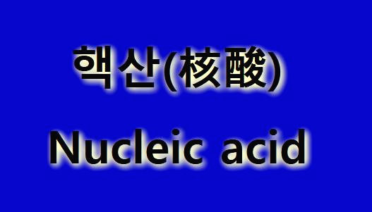 핵산