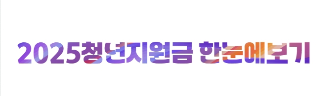 2025청년지원금 대상 자격조건 신청방법 한눈에 보기