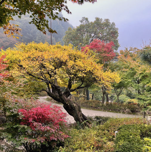 화담숲3