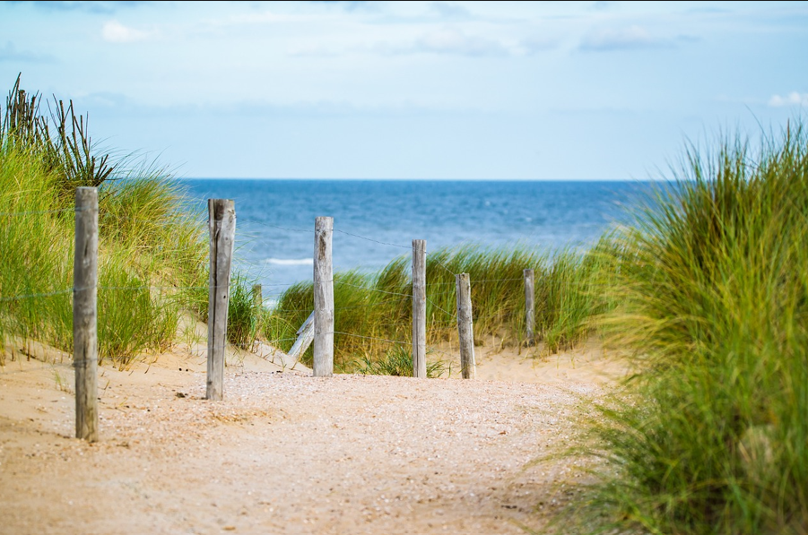 얕은 바다 울타리