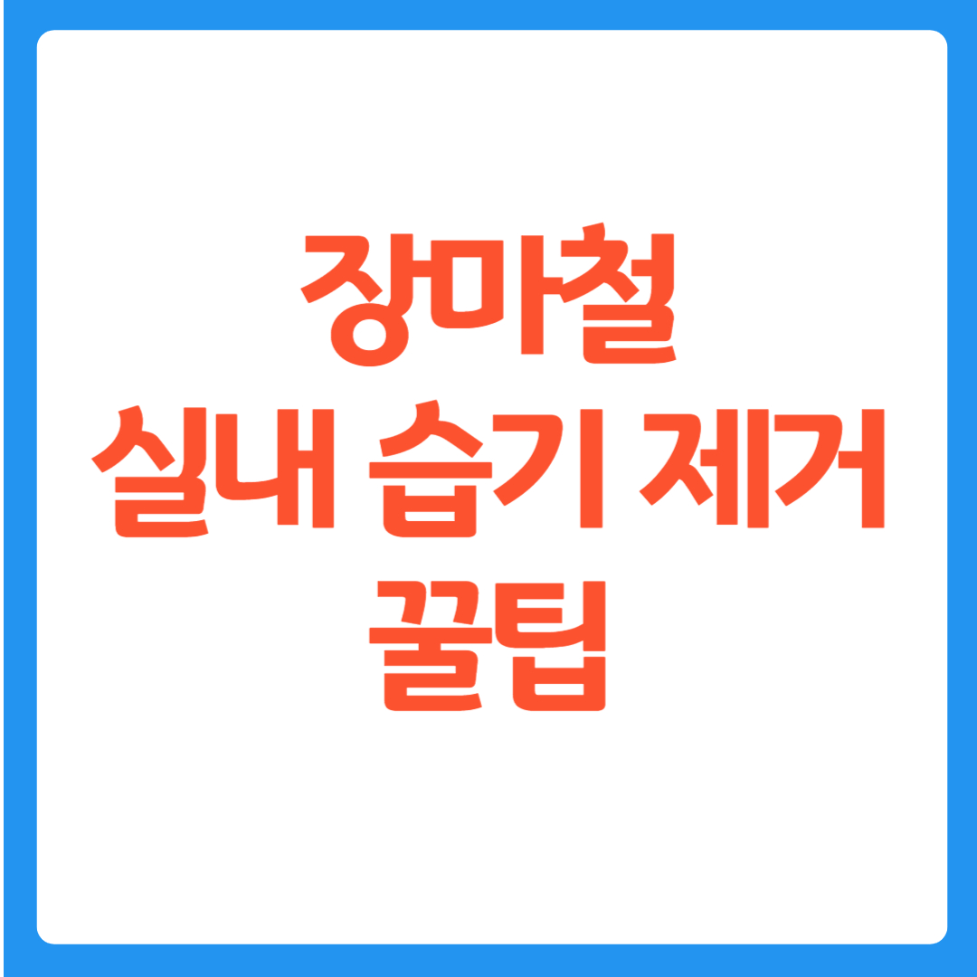 장마철 실내 습기 제거 꿀팁 총정리|곰팡이·냄새 없이 쾌적한 여름나기
