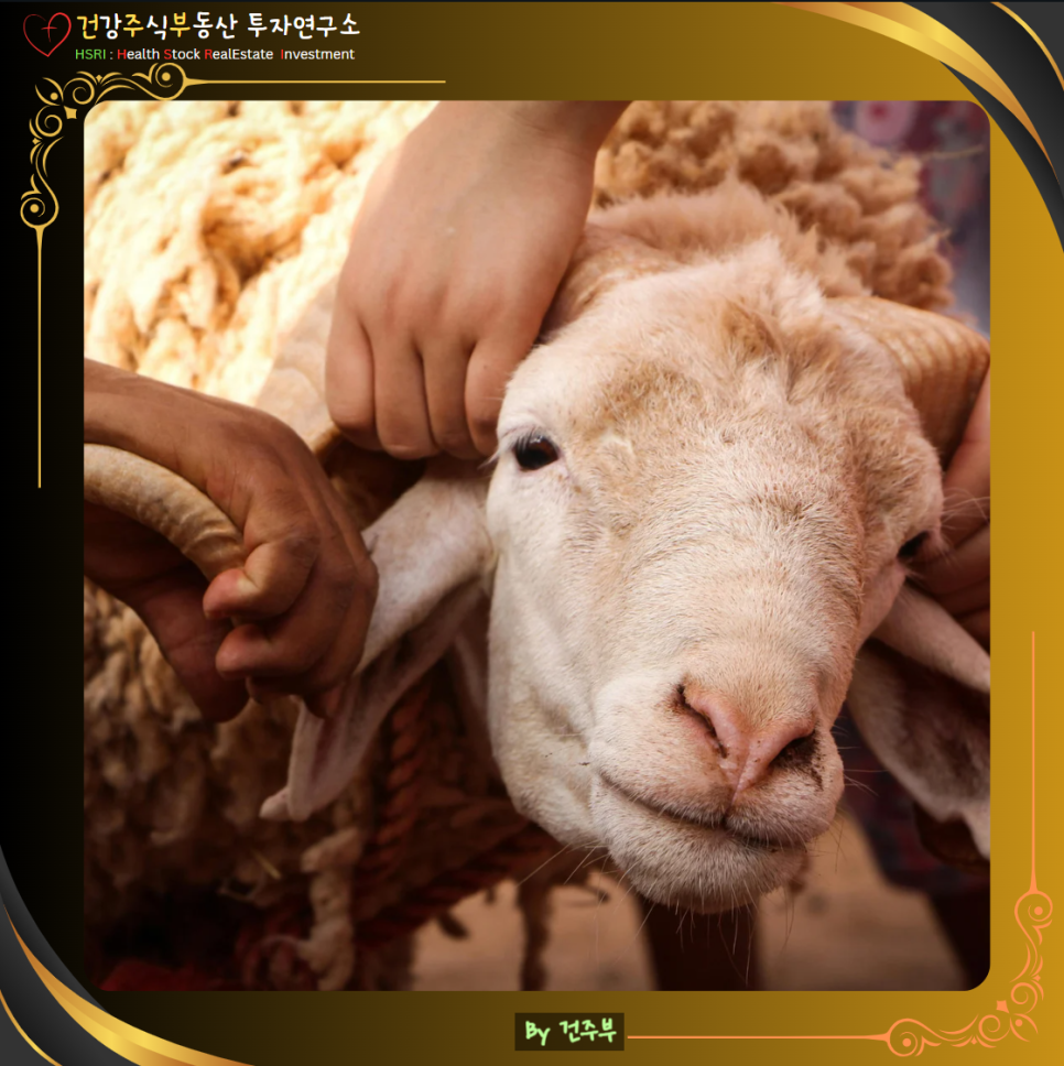 히브리서 9장 묵상 : 왜 하나님은 피의 제사를 명하셨는가?

(글 그림 : 건주부, 그림 출처 : Canva)