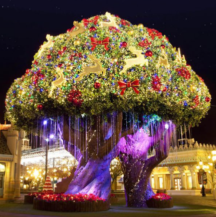 에버랜드 발레파킹 안내