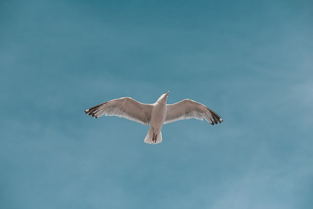 경기 겨울 가족여행 BEST 3