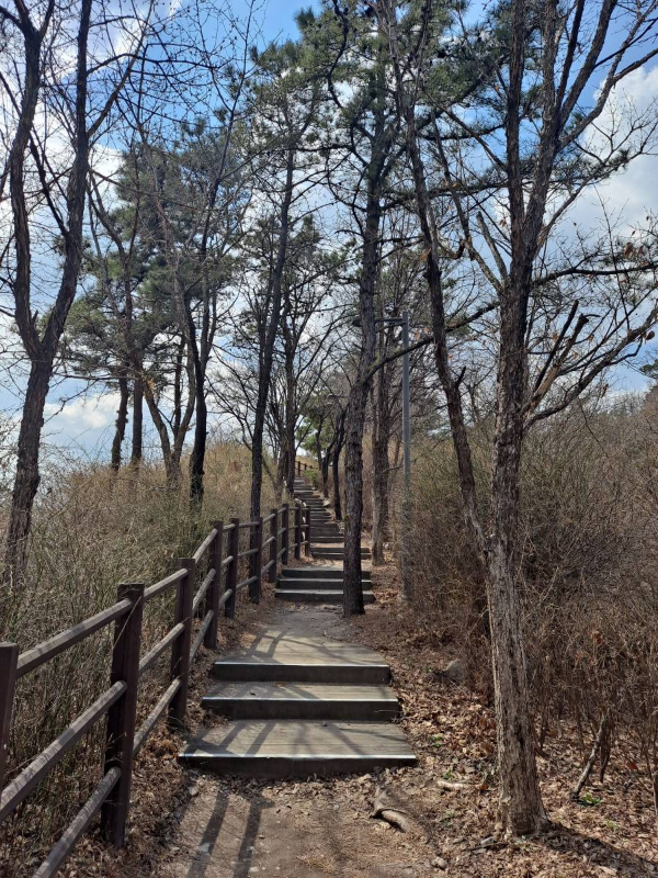 응봉산 힐링 등반코스