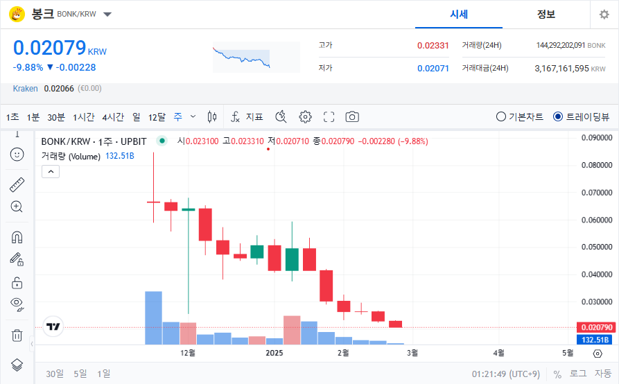 봉크코은 가격 전망