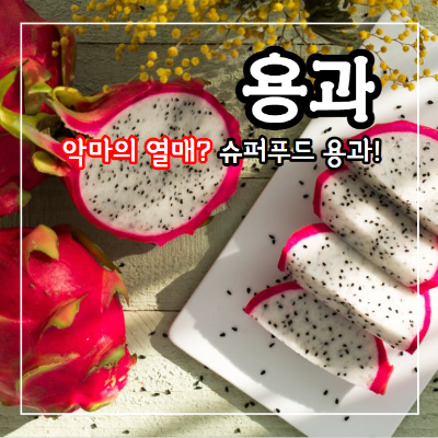 용과 효능 11가지와 부작용 및 먹는 법