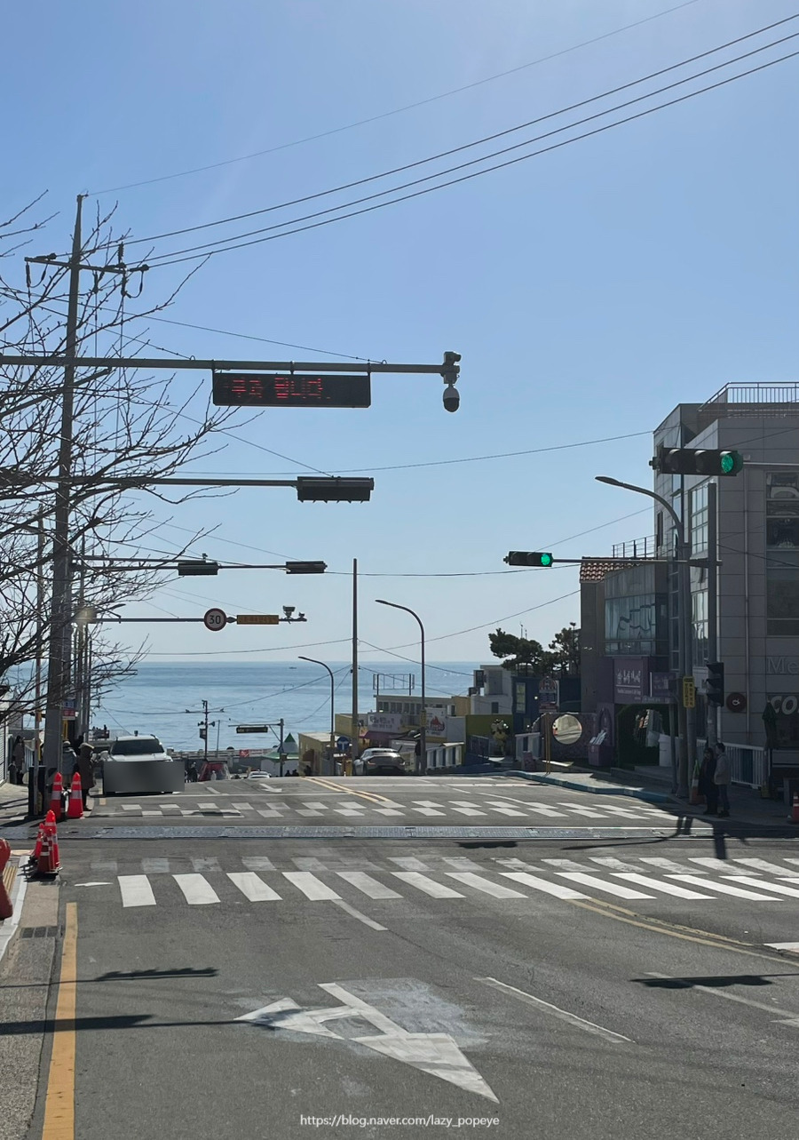 부산 해운대 블루라인파크 해변열차