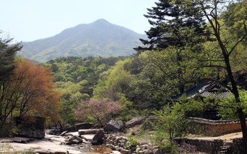 대야산 봄꽃축제 및 등산코스