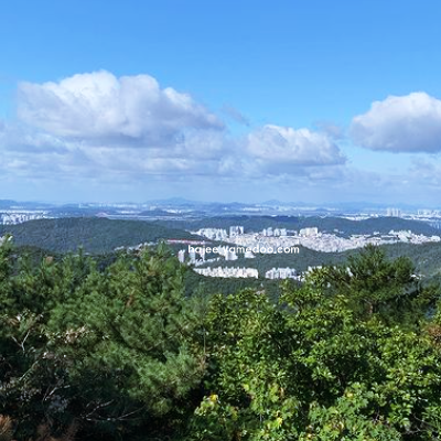 괴산 가볼만한곳