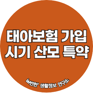 태아보험 가입시기 및 산모 특약 보장