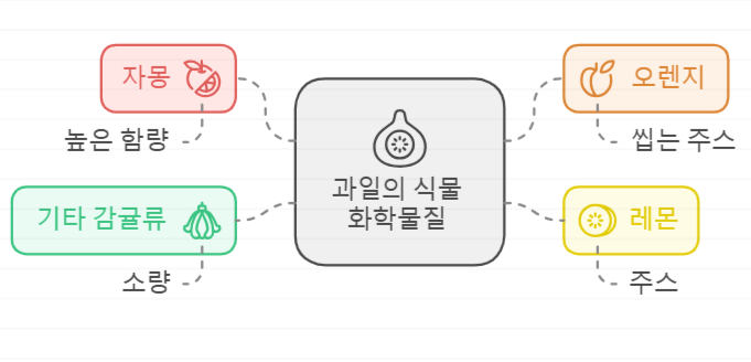 푸라노쿠마린 함유 과일