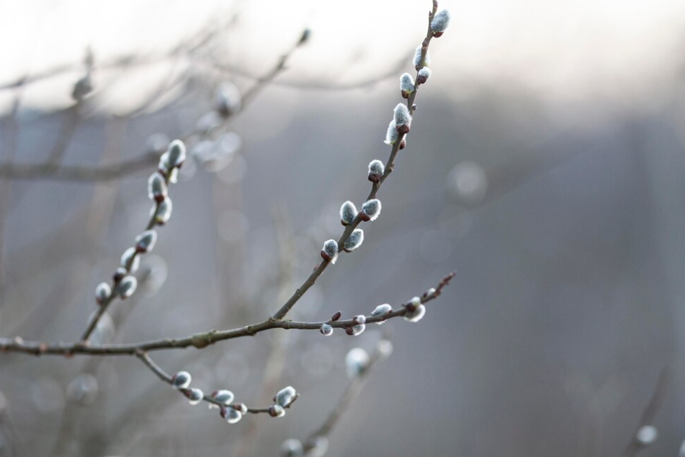 2024년 2월 주간별 날씨 전망