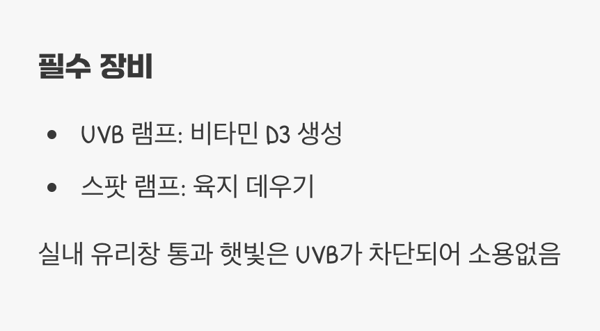 '햇볕' 한 줌의 기적, UVB와 스팟 램프