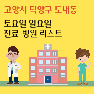 고양시 덕양구 도내동 토요일 일요일 진료 병원 리스트