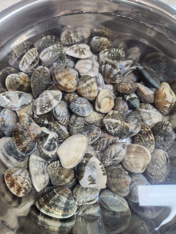 바지락칼국수