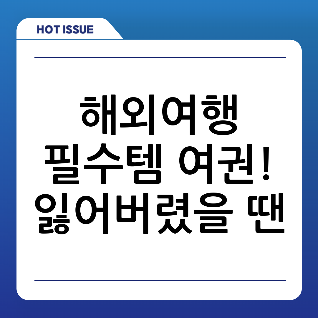 여권 분실