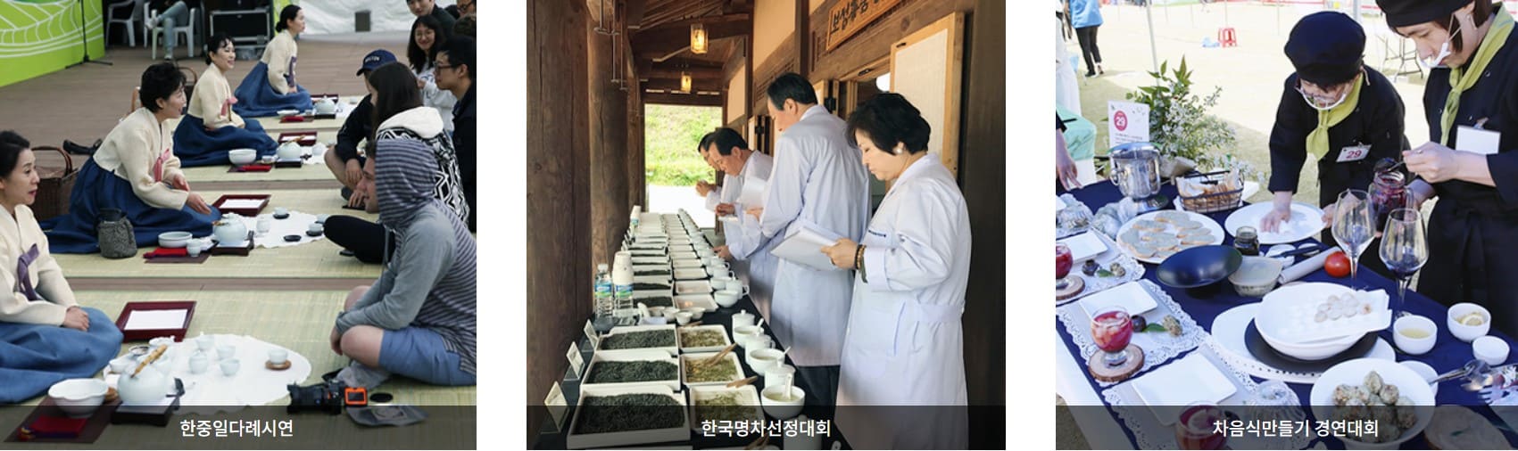 보성 차밭 축제프로그램2