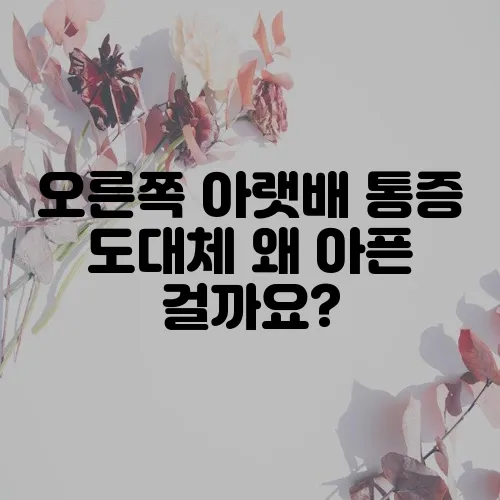 오른쪽 아랫배 통증 도대체 왜 아픈 걸까요?