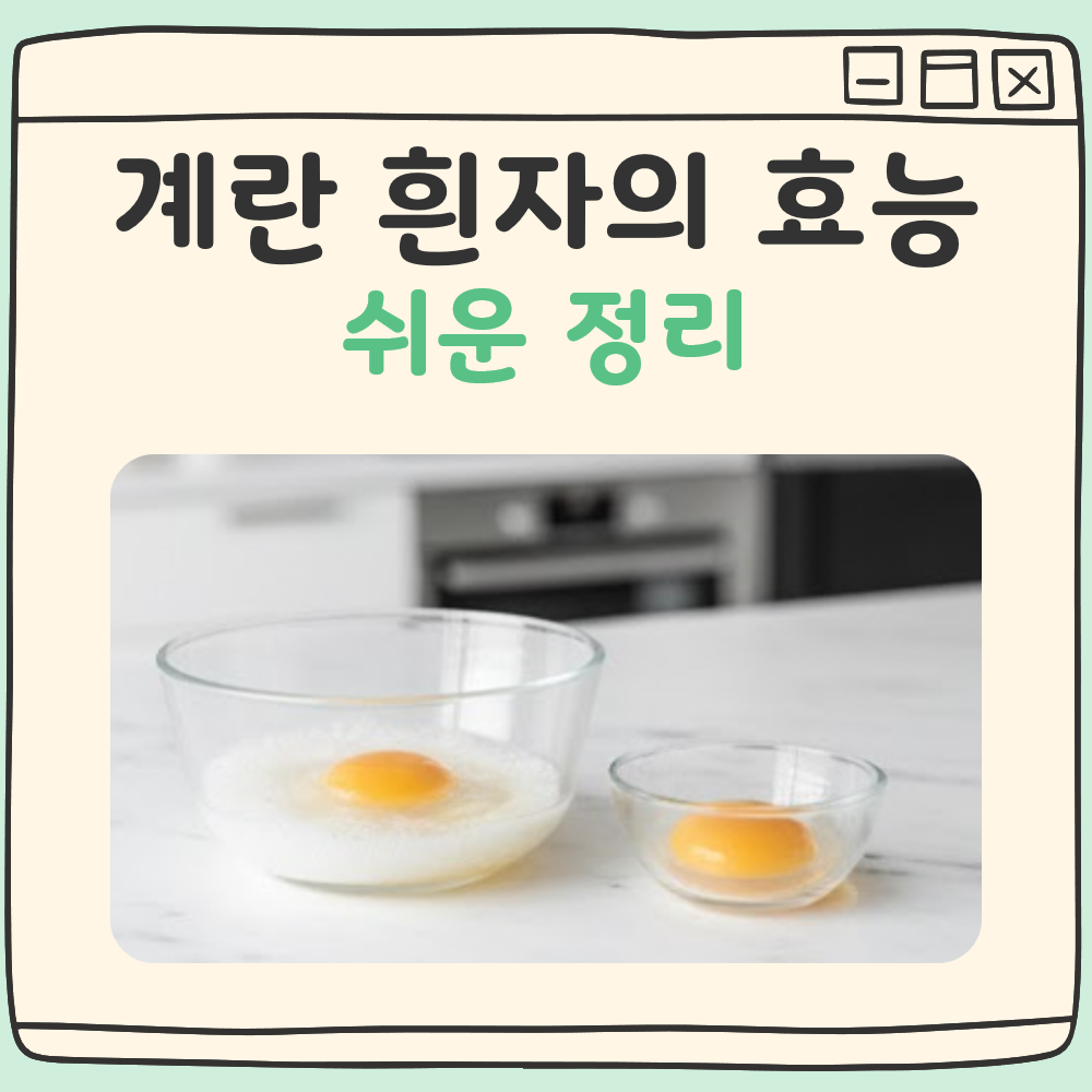 계란 흰자의 효능 대표 이미지
