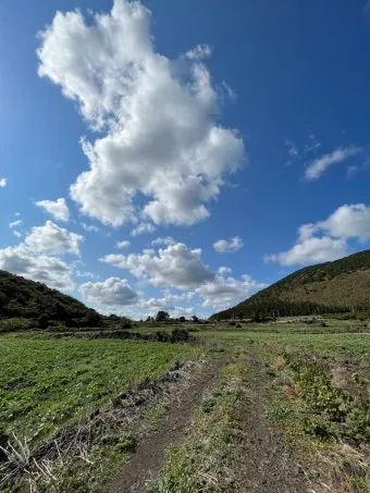 실시간 제주도 제주날씨 주간예보로_19