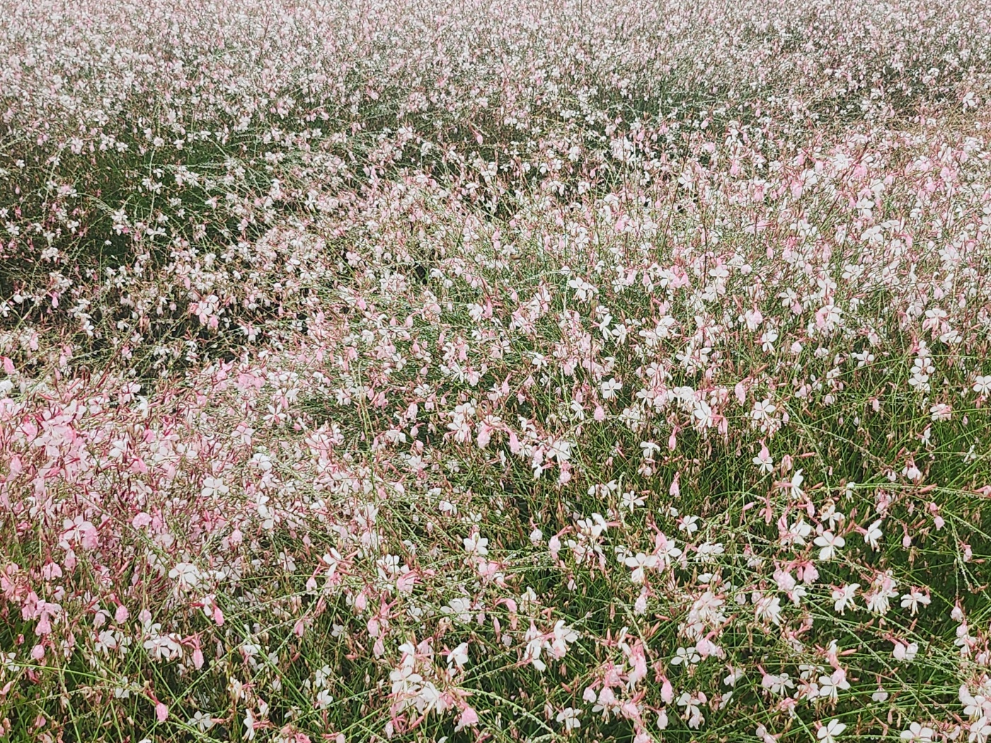 양주가볼만한곳