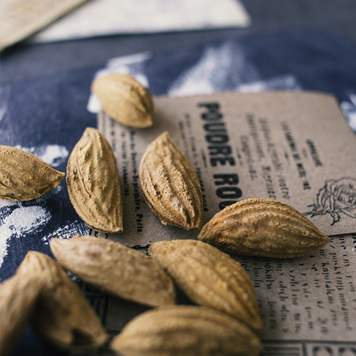 아몬드 효능과 섭취량&amp;#44; 부작용