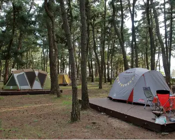 연곡 솔향기 캠핑장_16