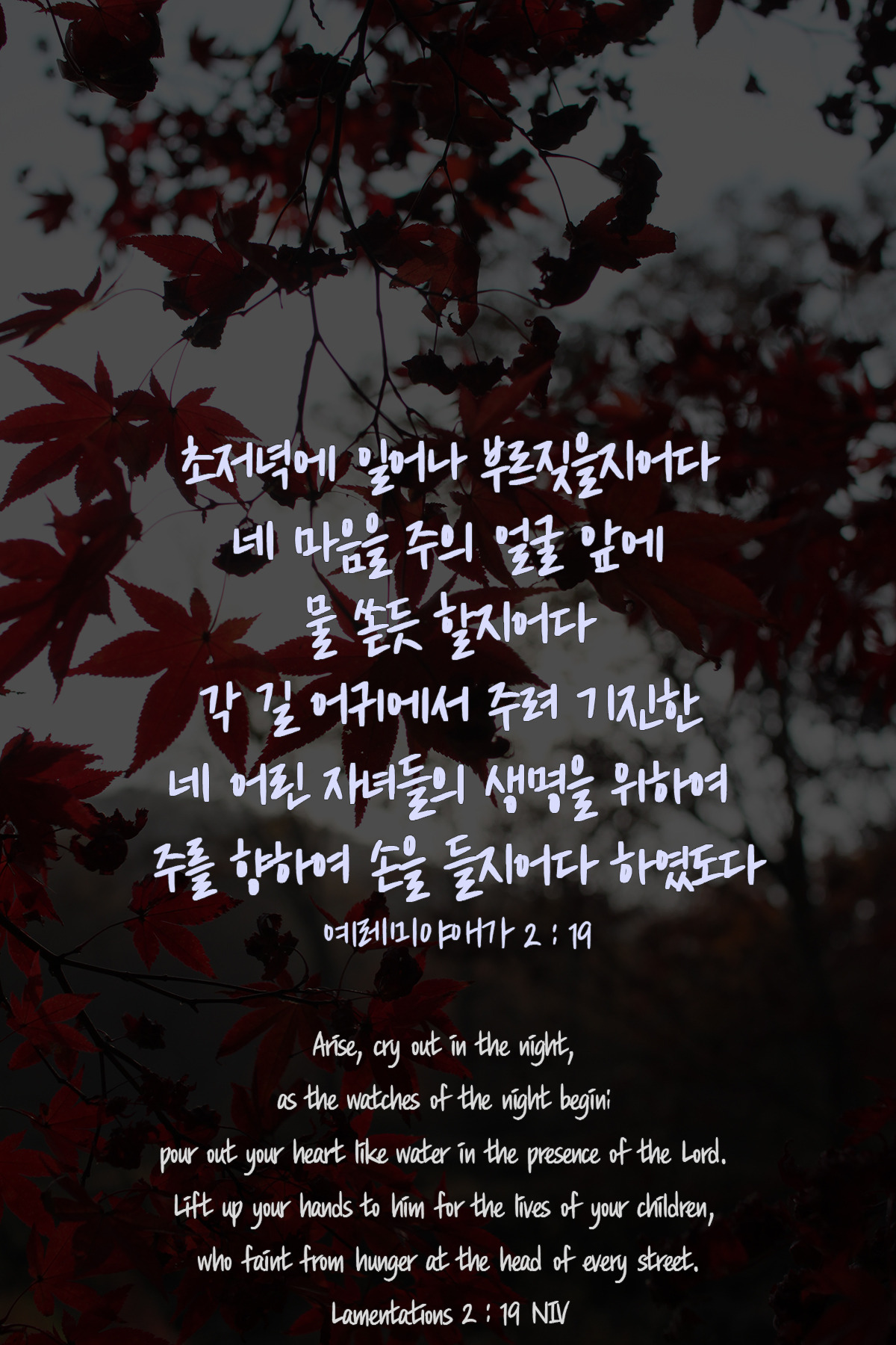 예레미야애가 2장