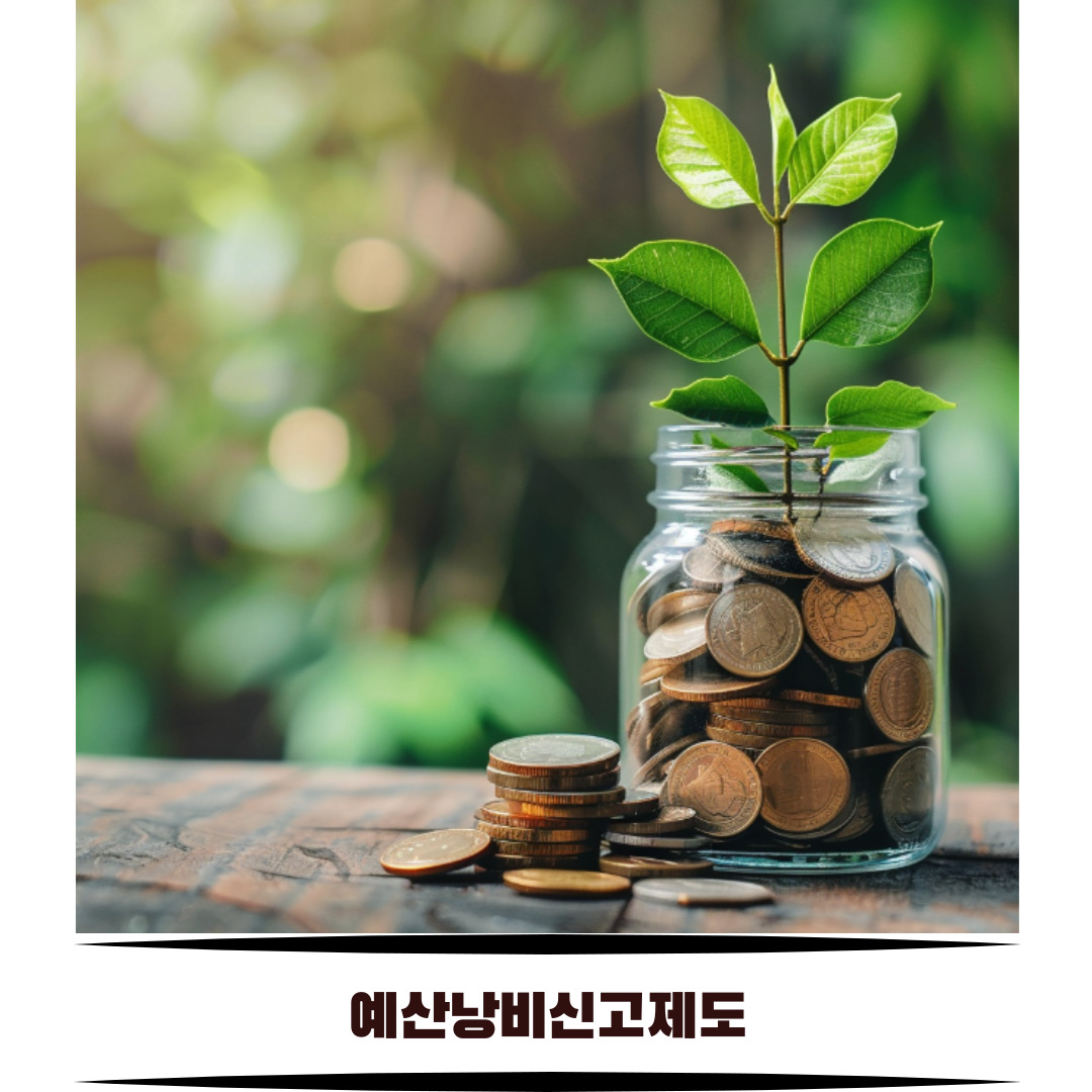 예산낭비신고제도