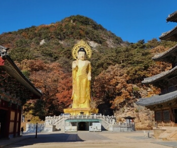 보은 법주사