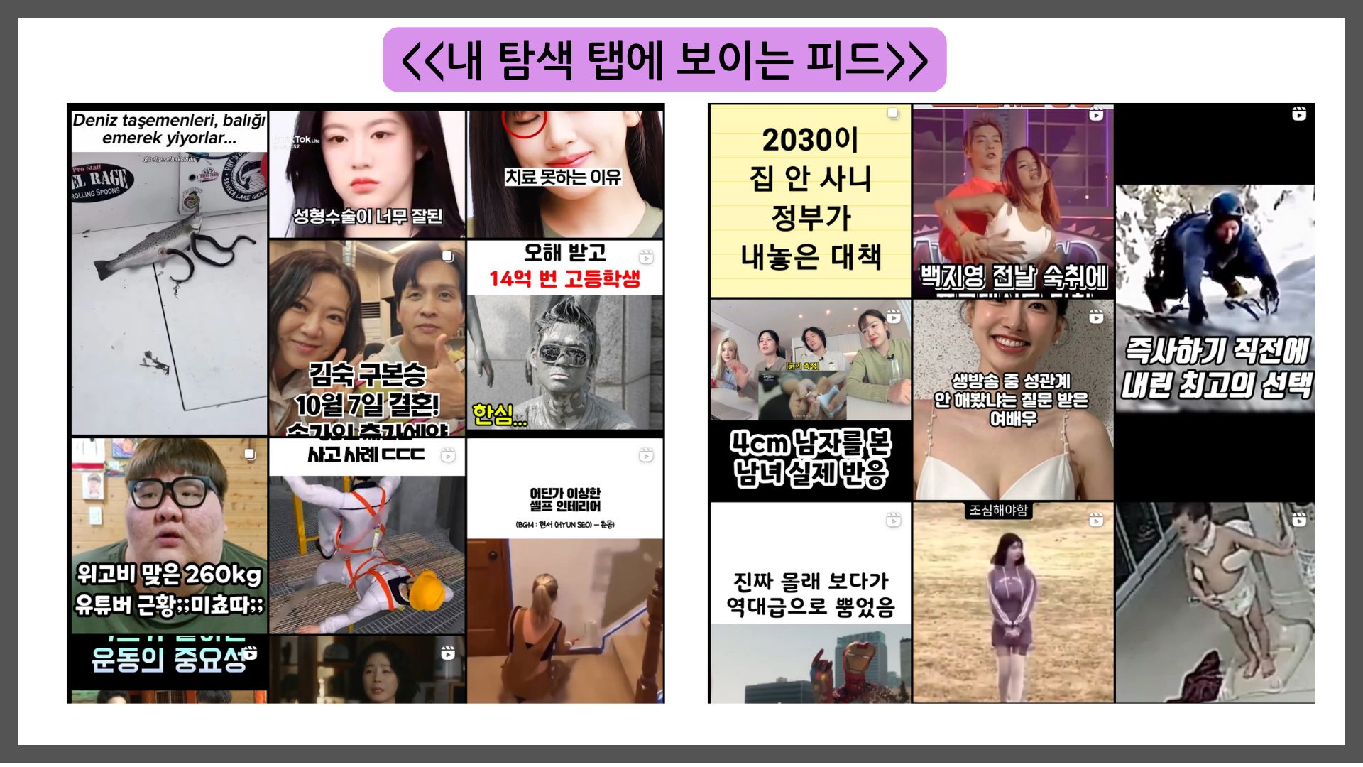 내 인스타그램 탐색탭에 보이는 피드모습