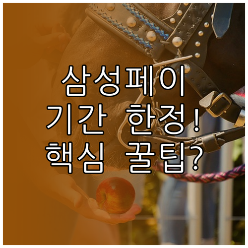 아는 사람만 쓰는 삼성페이 기간 한정..