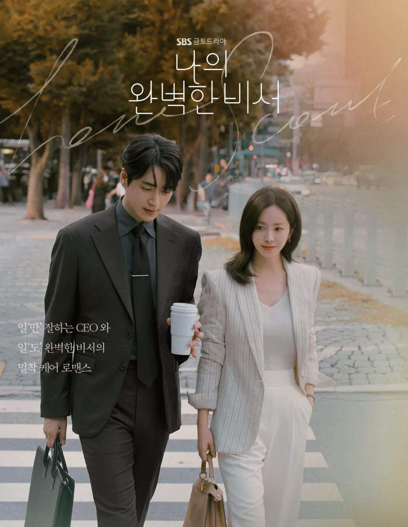 나의 완벽한 비서 드라마 포스터