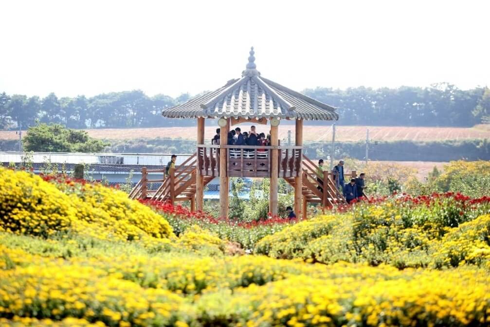 충남 가을축제