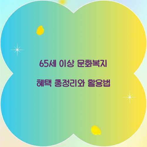 65세 이상 문화복지