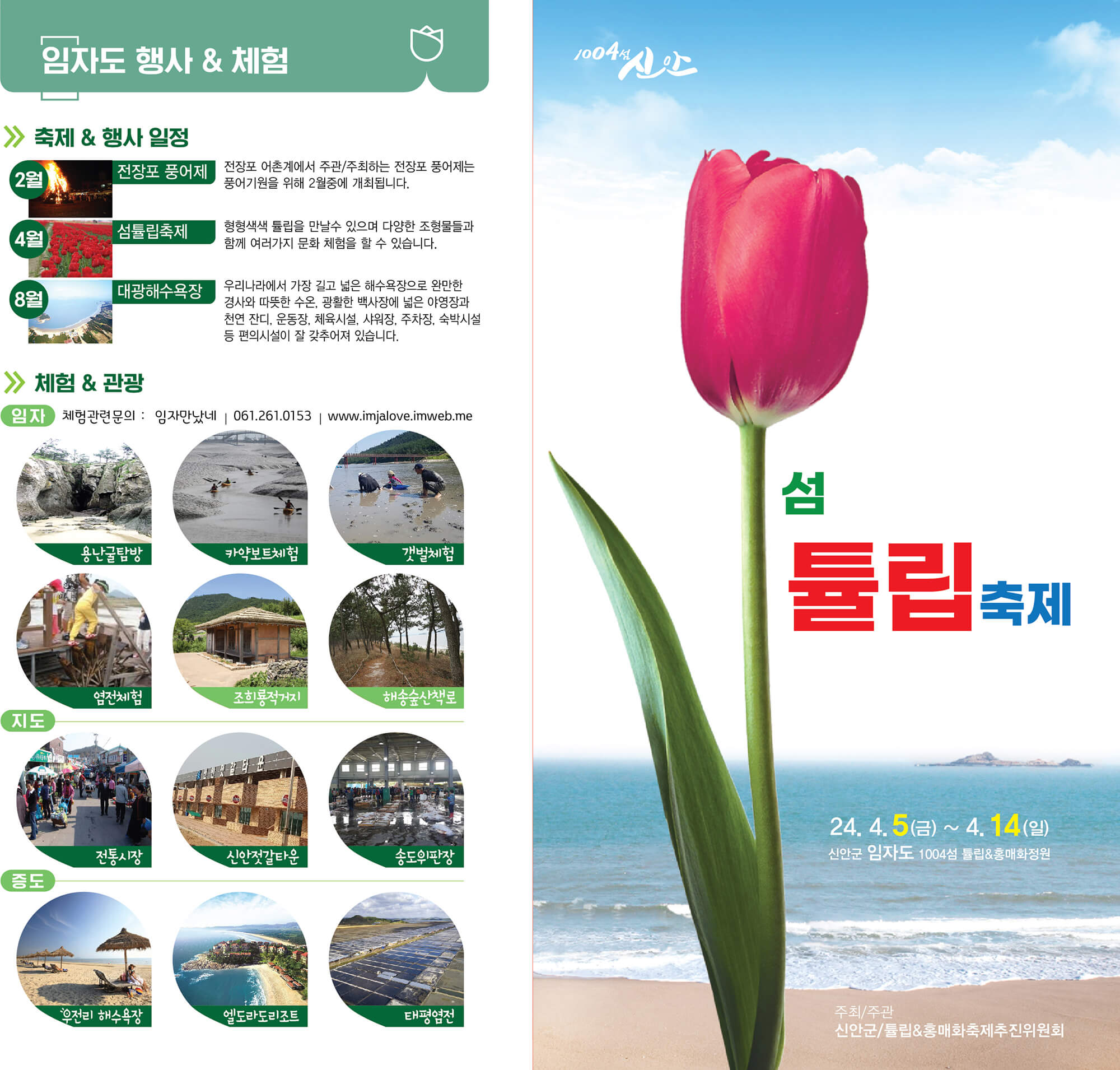 임자도튤립축제